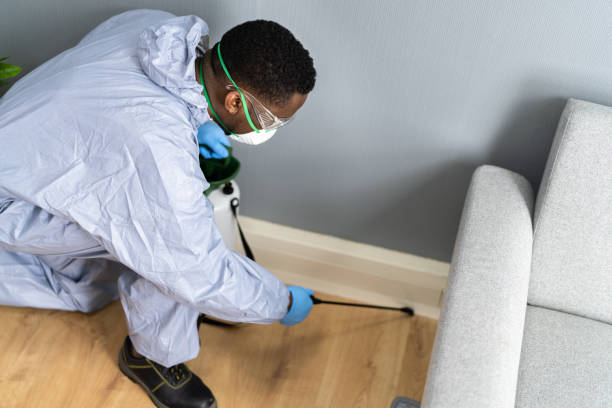 Best Fumigation Services  in Chewelah, WA